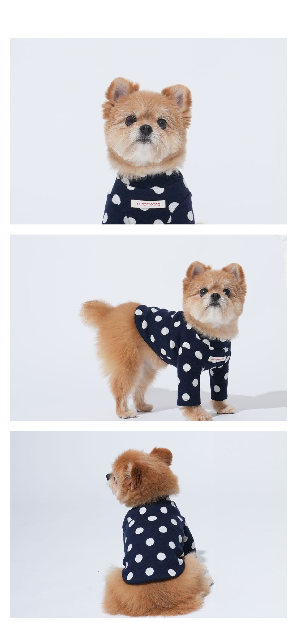 네이비 바닥에 화이트 도트 패턴의 티셔츠를 입은 강아지 앞,뒤,옆 이미지