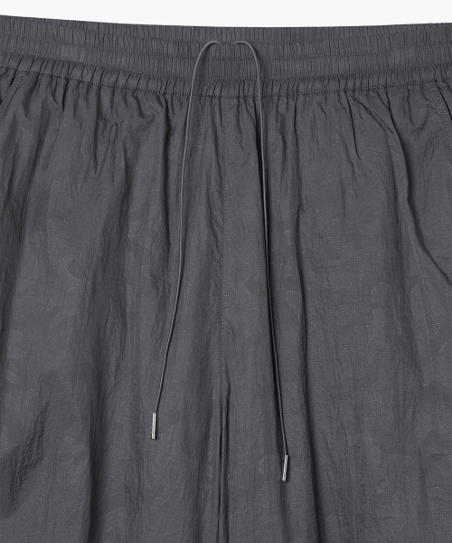 Shining Supplement Line Pants [Black]