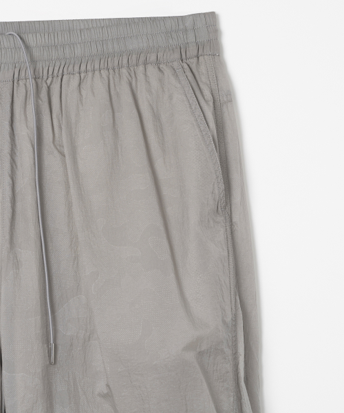Брюки Shining Supplement Line [Light Gray]