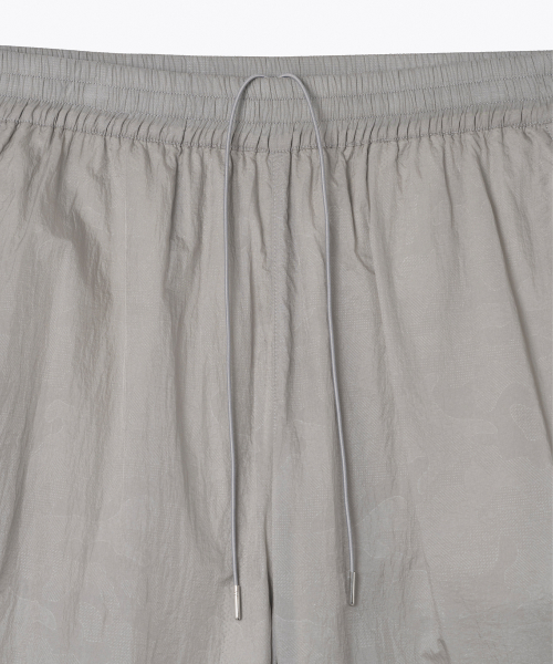 Брюки Shining Supplement Line [Light Gray]