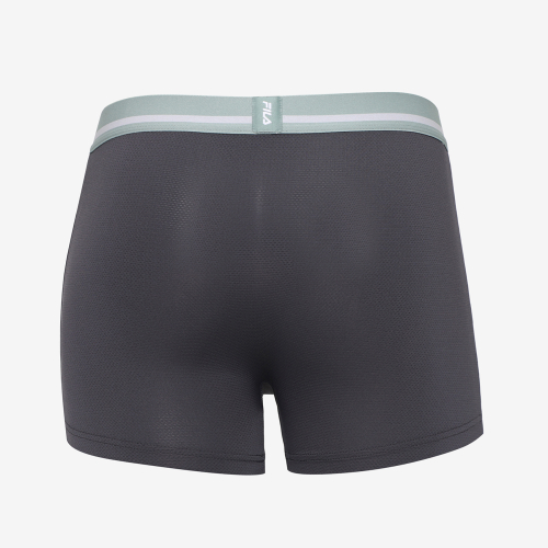 Мужские боксеры Active Aqua X Move Fit (FI4HPH1005MCGY)