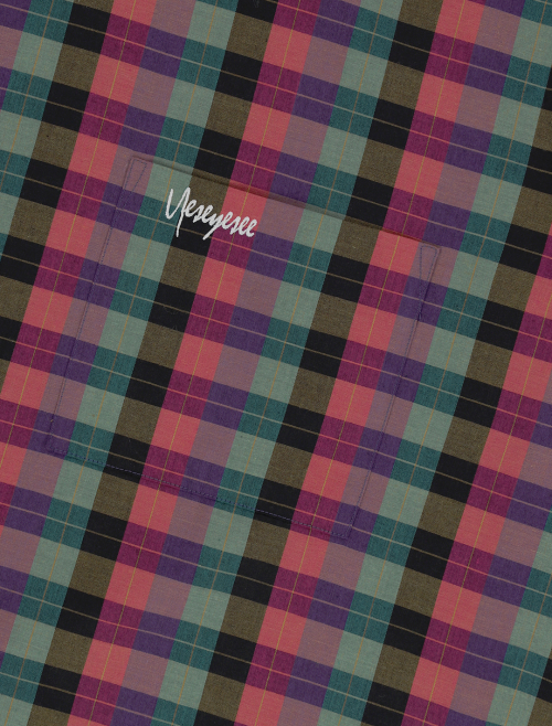 Y.E.S Short Sleeve Check Shirt Multi