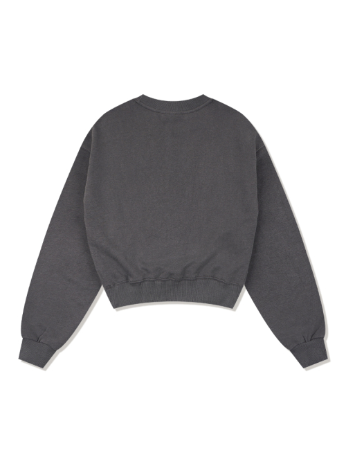 Женский кроп-свитшот Bear Friends Charcoal (FCF1TS206W)