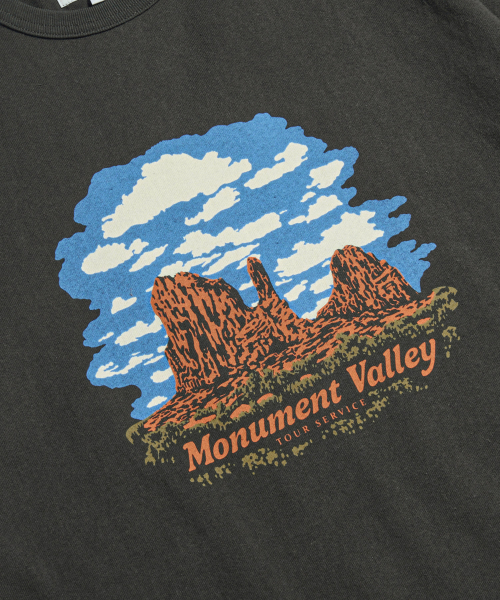 Monument Valley Heavyweight Tee Vintage Black