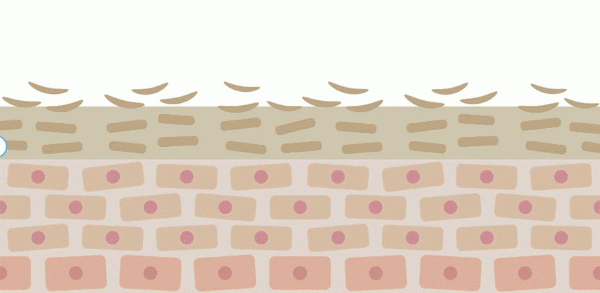 content-img-13