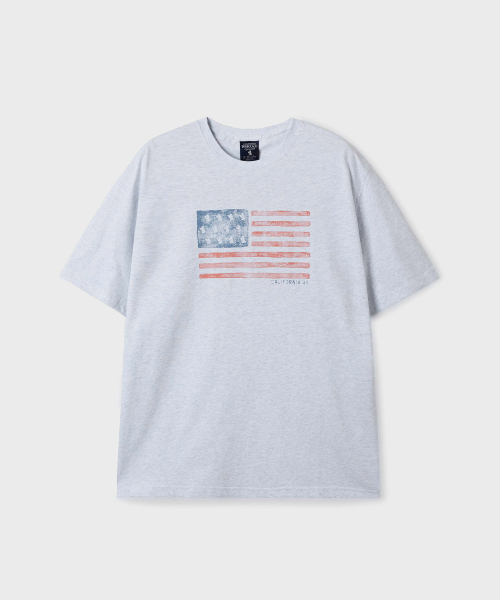 American Flag Printing T-shirt / WHRPG3793U