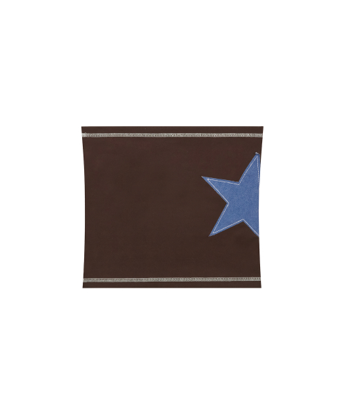 L17 STAR TUBE TOP(BROWN)