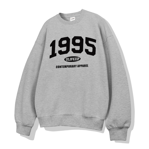 1995 Arch оверсайз свитшот 6 Color [ULZM_0005]