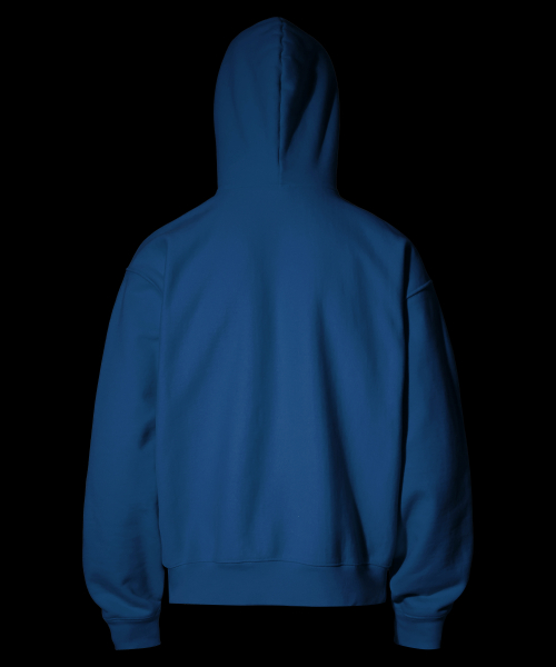Плотное худи с арочным логотипом_Blue