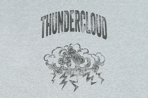 Vintage crop sweatshirts- Thunder