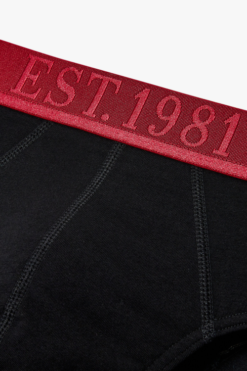 [EMPORIO ARMANI UNDERWEAR] Мужские брифы с глянцевым логотипом_black 0815311316