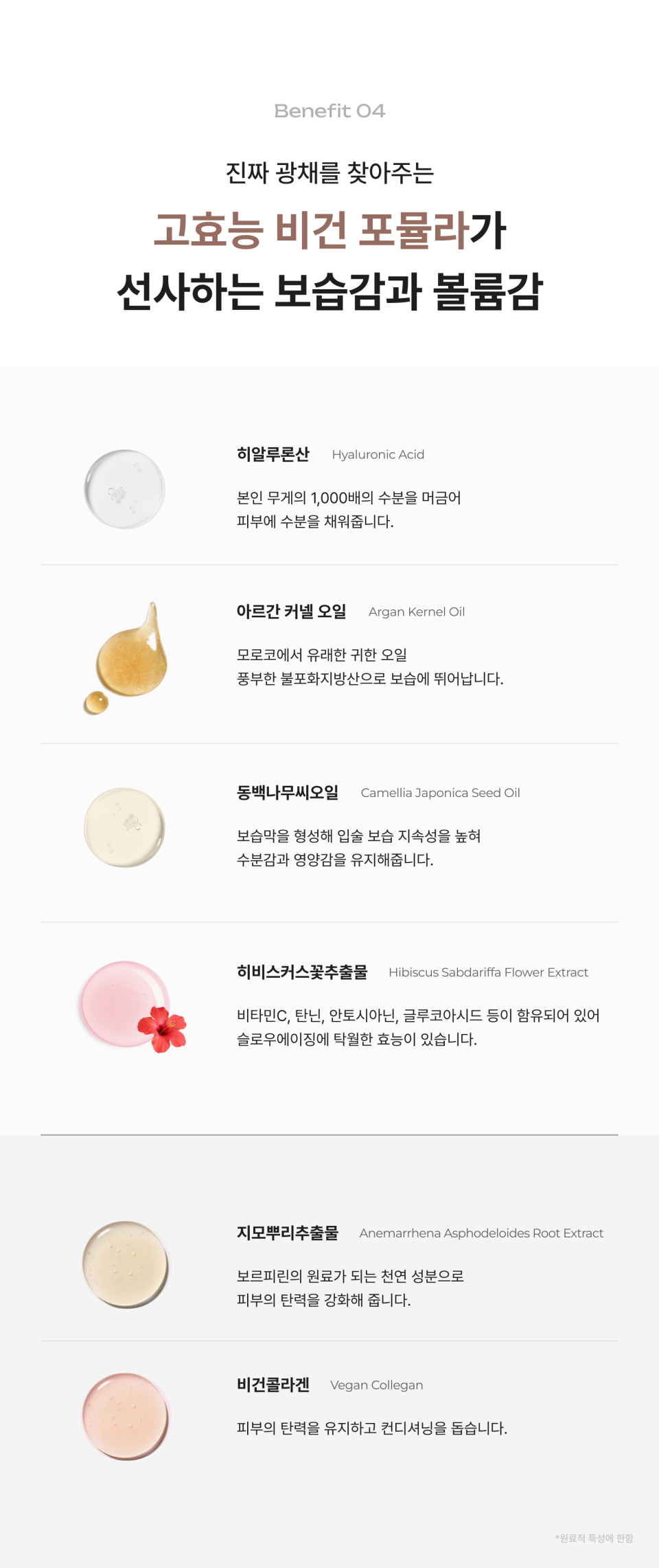 PDRN 틴티드 립 앰플 21