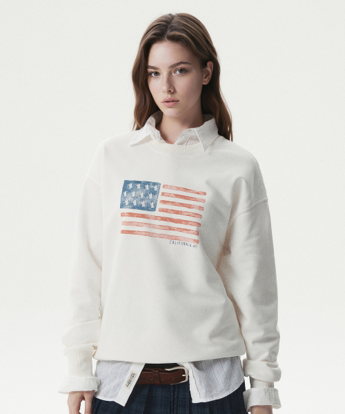 American Flag Sweatshirt / WHMWG2492U