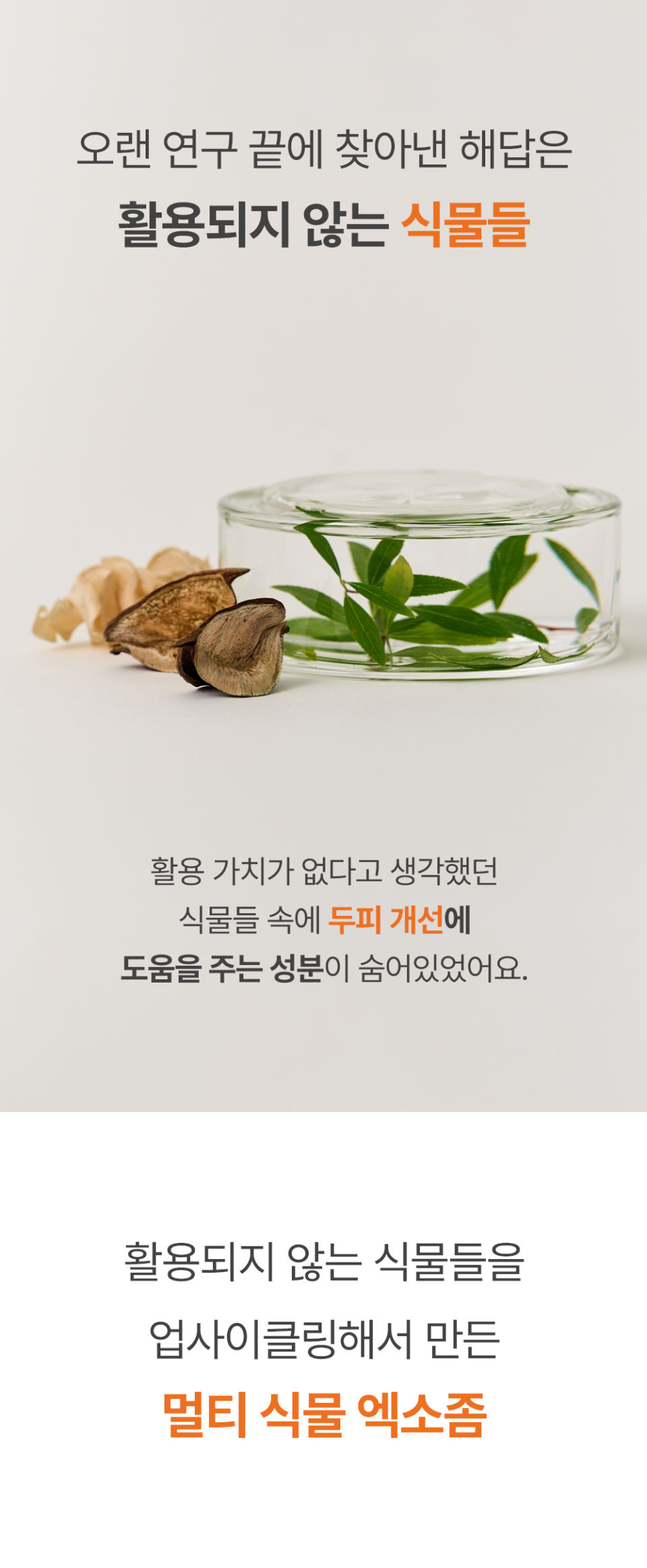 업사이클 식물 엑소좀 내용