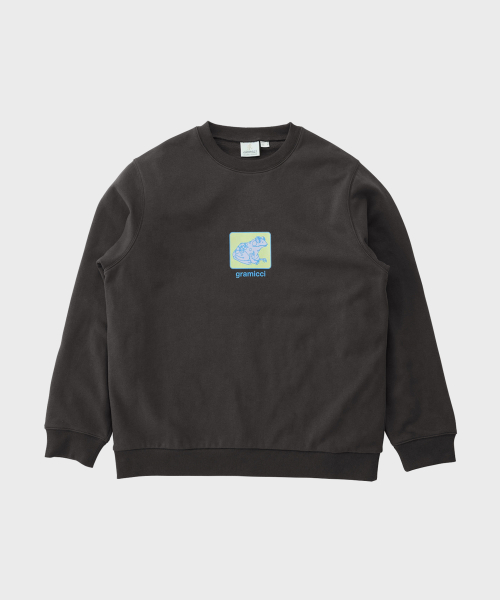 Свитшот TOAD Deep Brown