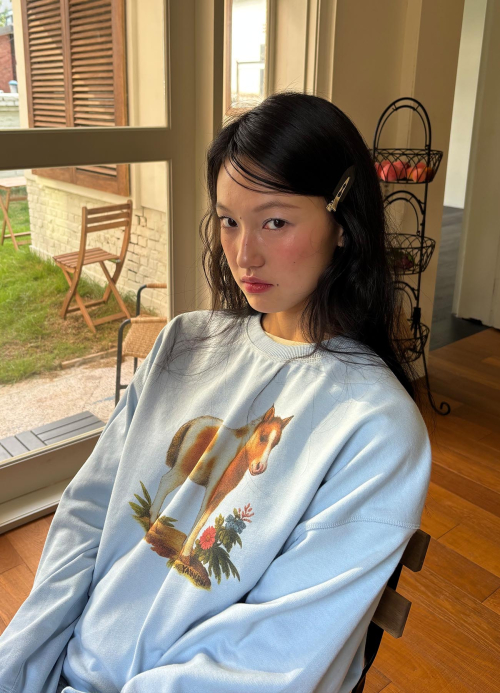 Свитшот Pony — Baby Blue