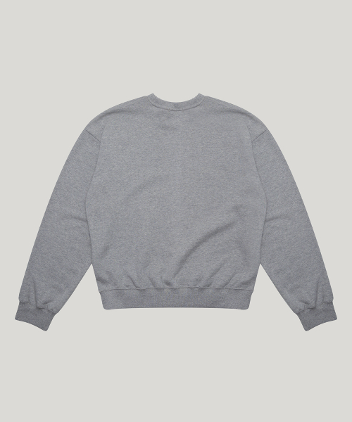 midnight sweatshirt_m/gray