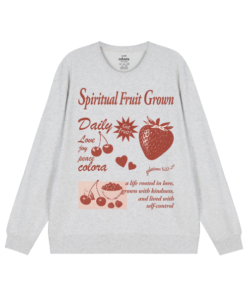 Свитшот Spiritual Fruit Grown Strawberry (3color)