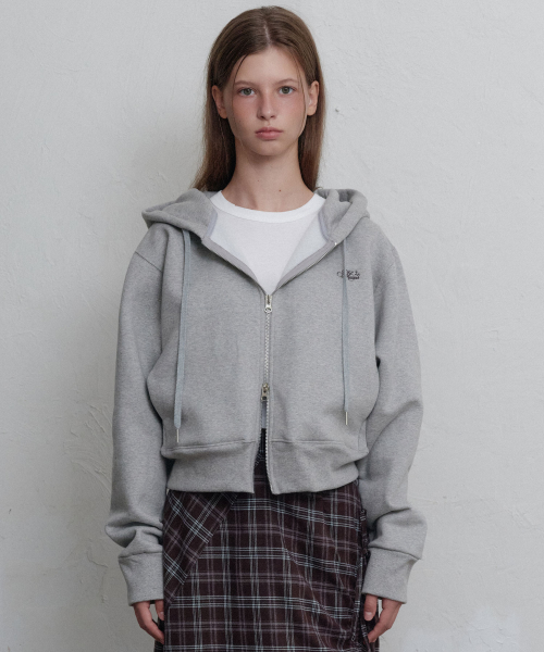 Daydream logo zip-up худи (Grey)