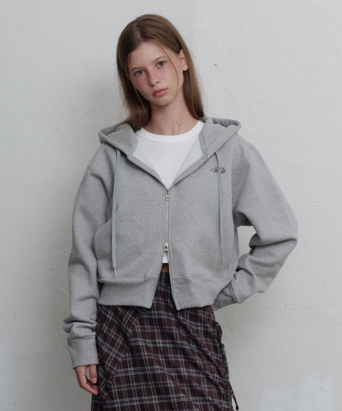 Daydream logo zip-up худи (Grey)
