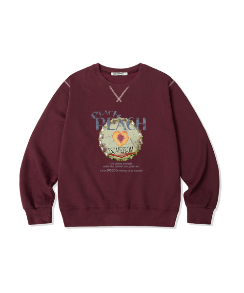 Свитшот с принтом Peach Peach и акцентными линиями [2color]
