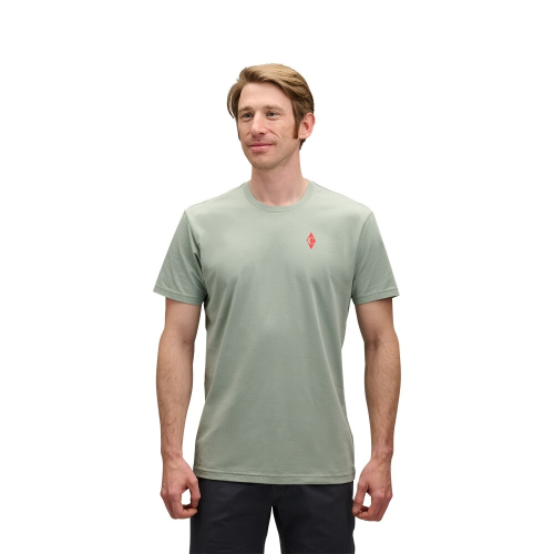 Футболка BD Dragon MENS /PAMAP723067