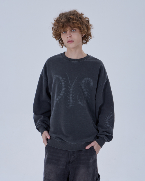 DYS CENTIPEDE PIGMENT SWEATSHIRT (CHARCOAL)