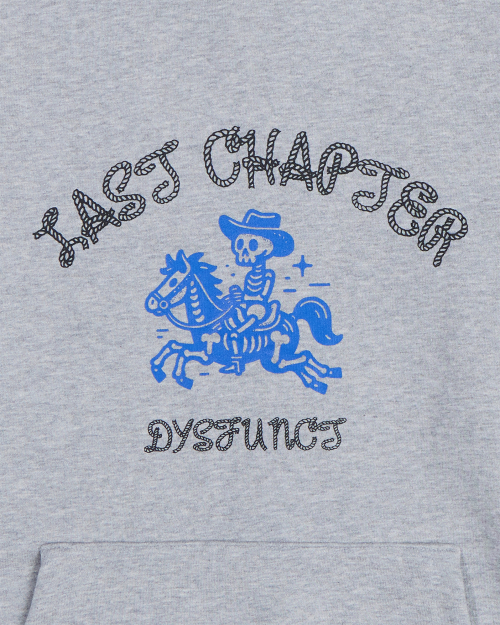 LAST CHAPTER HOODIE (GRAY)