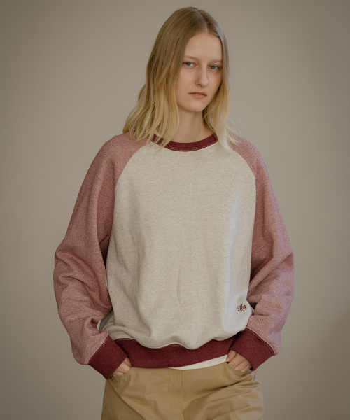 Coloring melange reglan MTM [KNFW04TS06]_[2color]