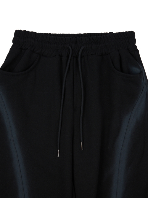 Широкие брюки Curved Spray (Black)