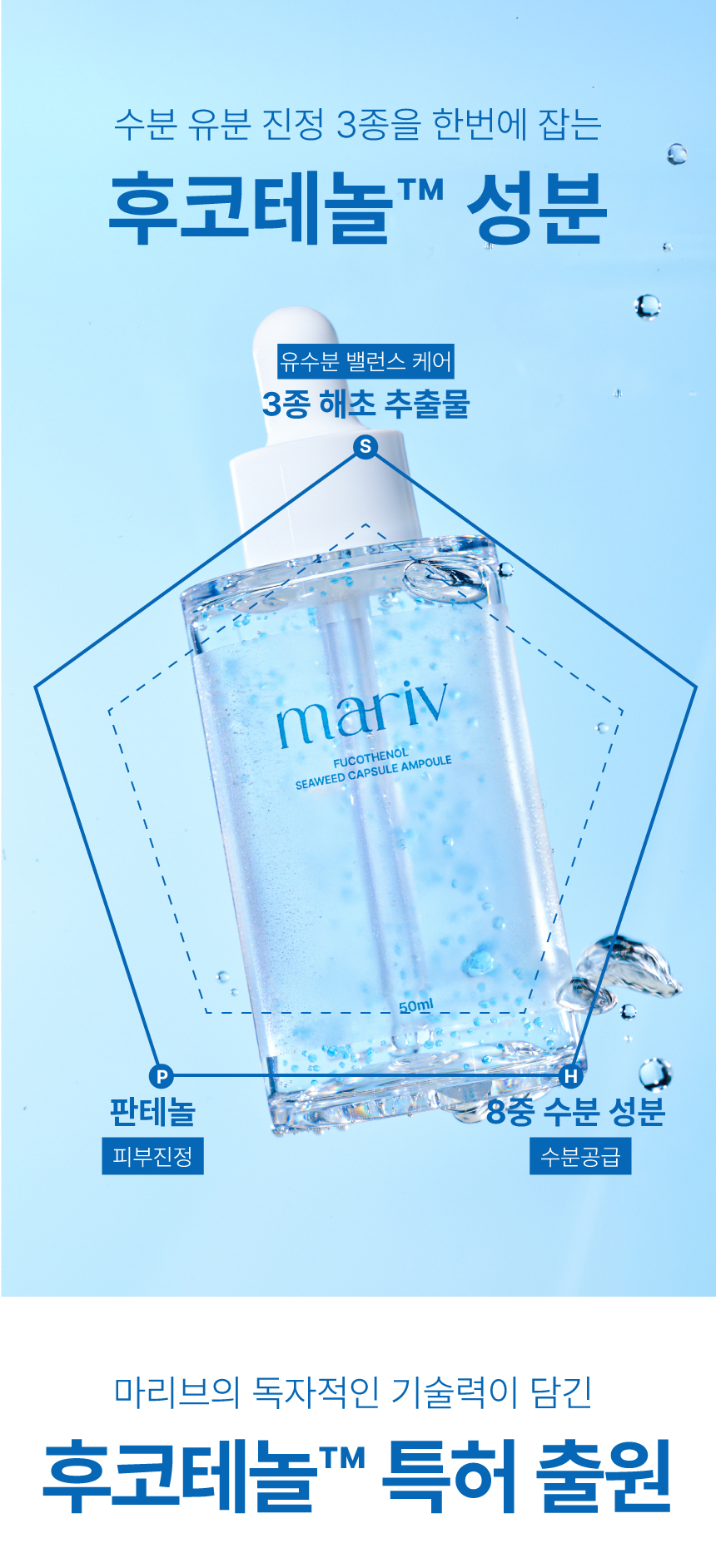 솔루션1 해초추출물