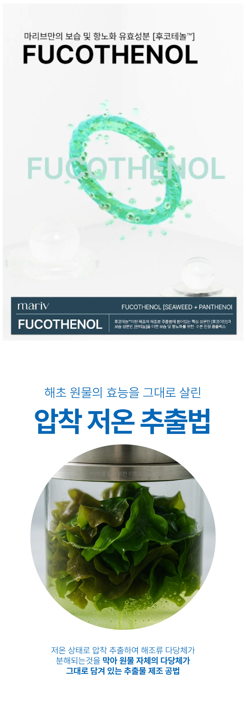 후코테놀 성분 설명