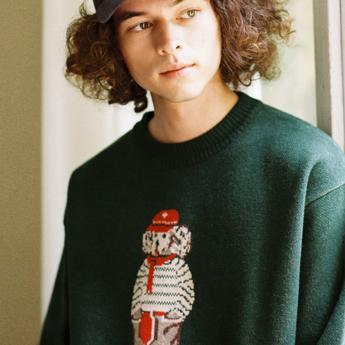 classic animal knit(green)
