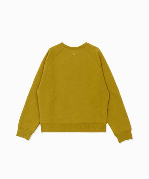 HS Logo Raglan Sweatshirt_Olive