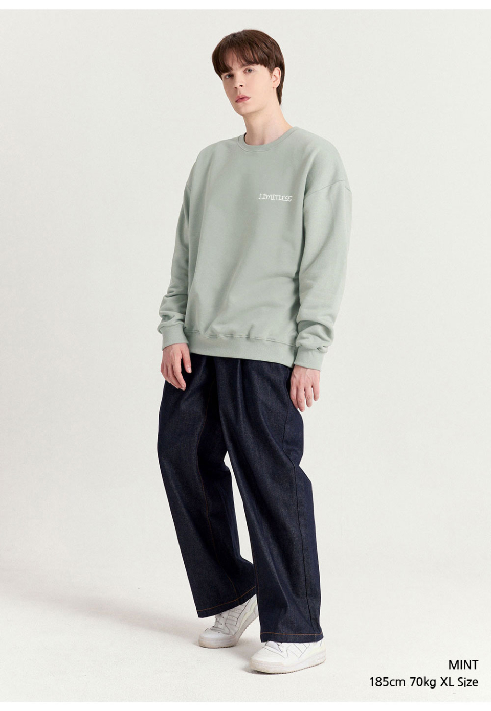 민트색상 장미그림이 등판에 찍혀있는 맨투맨을 입은 남자 사진