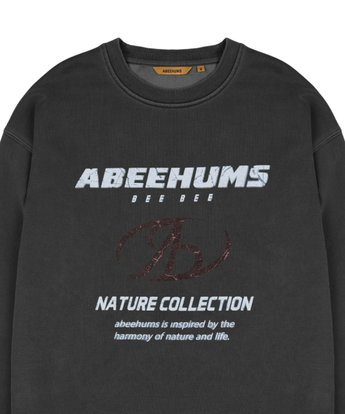 Свитшот пигментного крашения с символьным лого ABH357-118 Charcoal