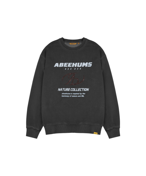 Свитшот пигментного крашения с символьным лого ABH357-118 Charcoal