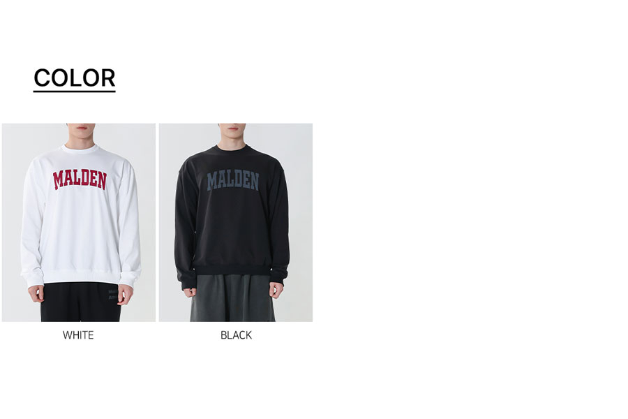 HEAVY COTTON ARCH OVERFIT SWEATSHIRT - 2 COLORS 