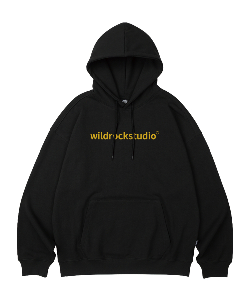 Standard Logo оверсайз Hoodie_10 COL