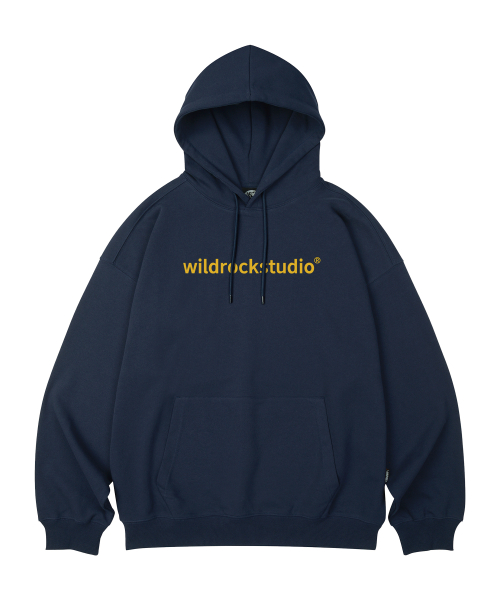 Standard Logo оверсайз Hoodie_10 COL