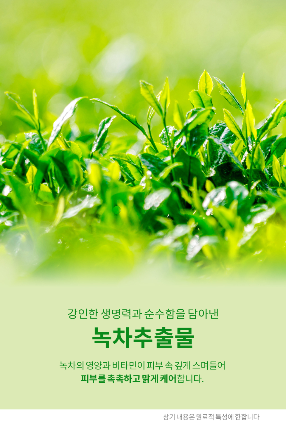 snowwhite milky lotion 11