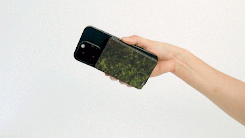 성경김 소개 이미지