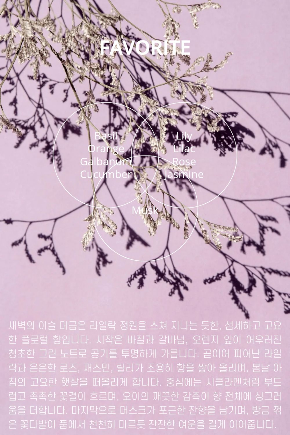 content-img-07