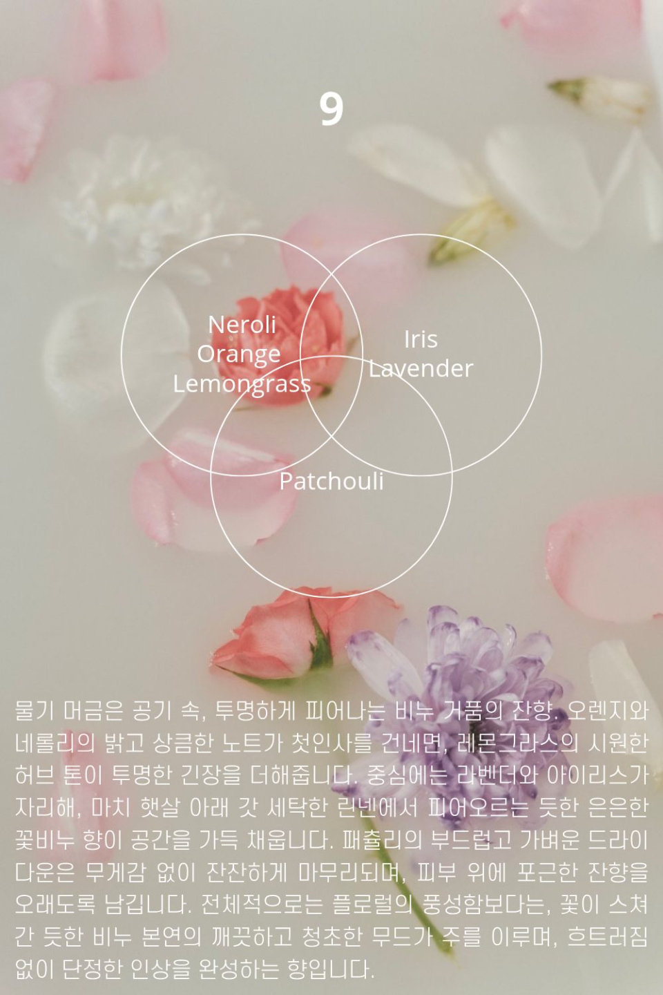 content-img-07