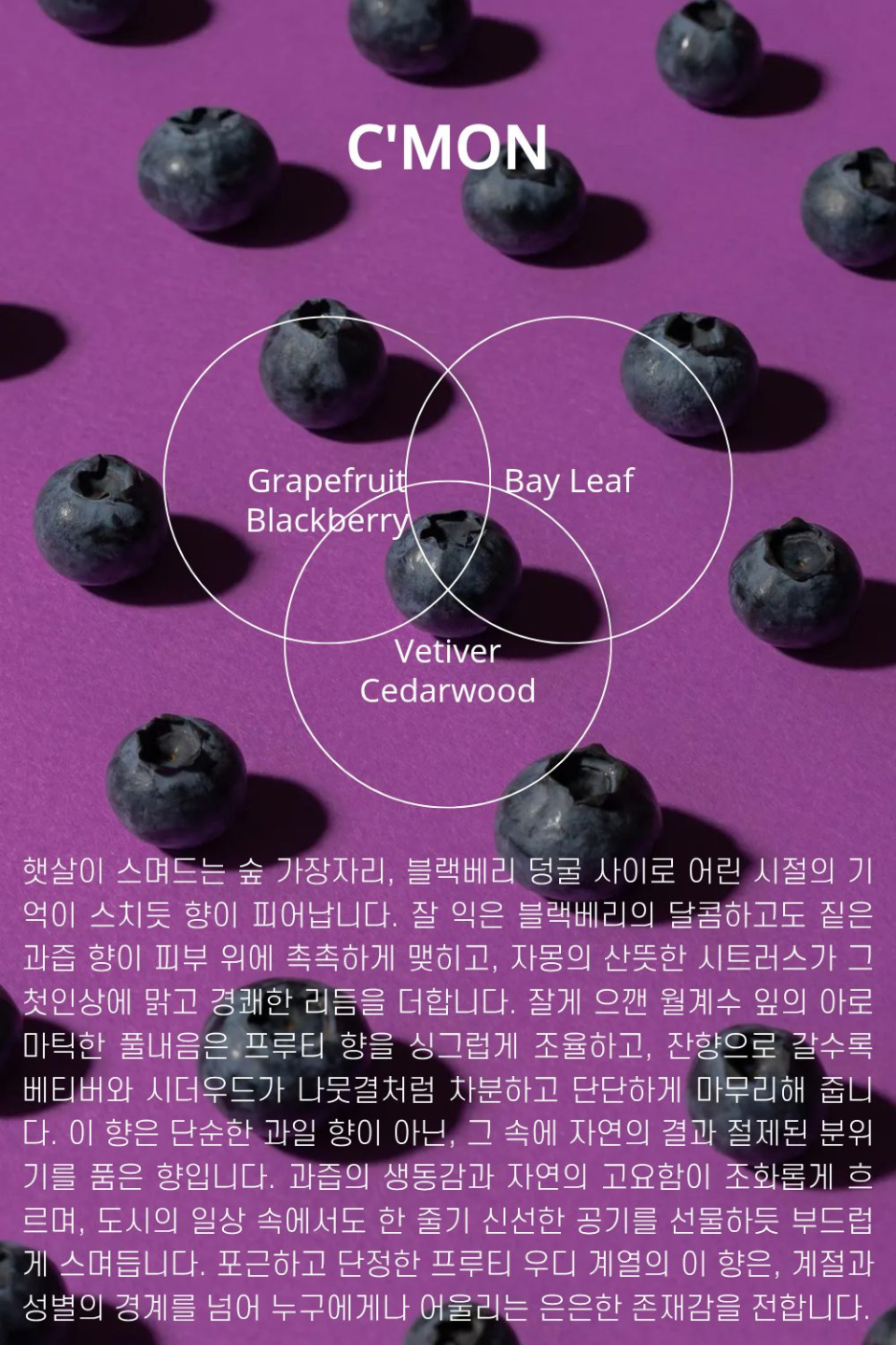content-img-07