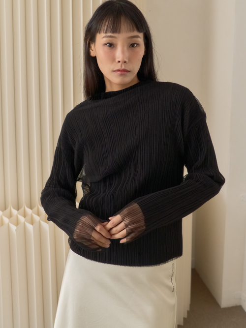 Sheer Pleated Mesh High Neck Top_Black