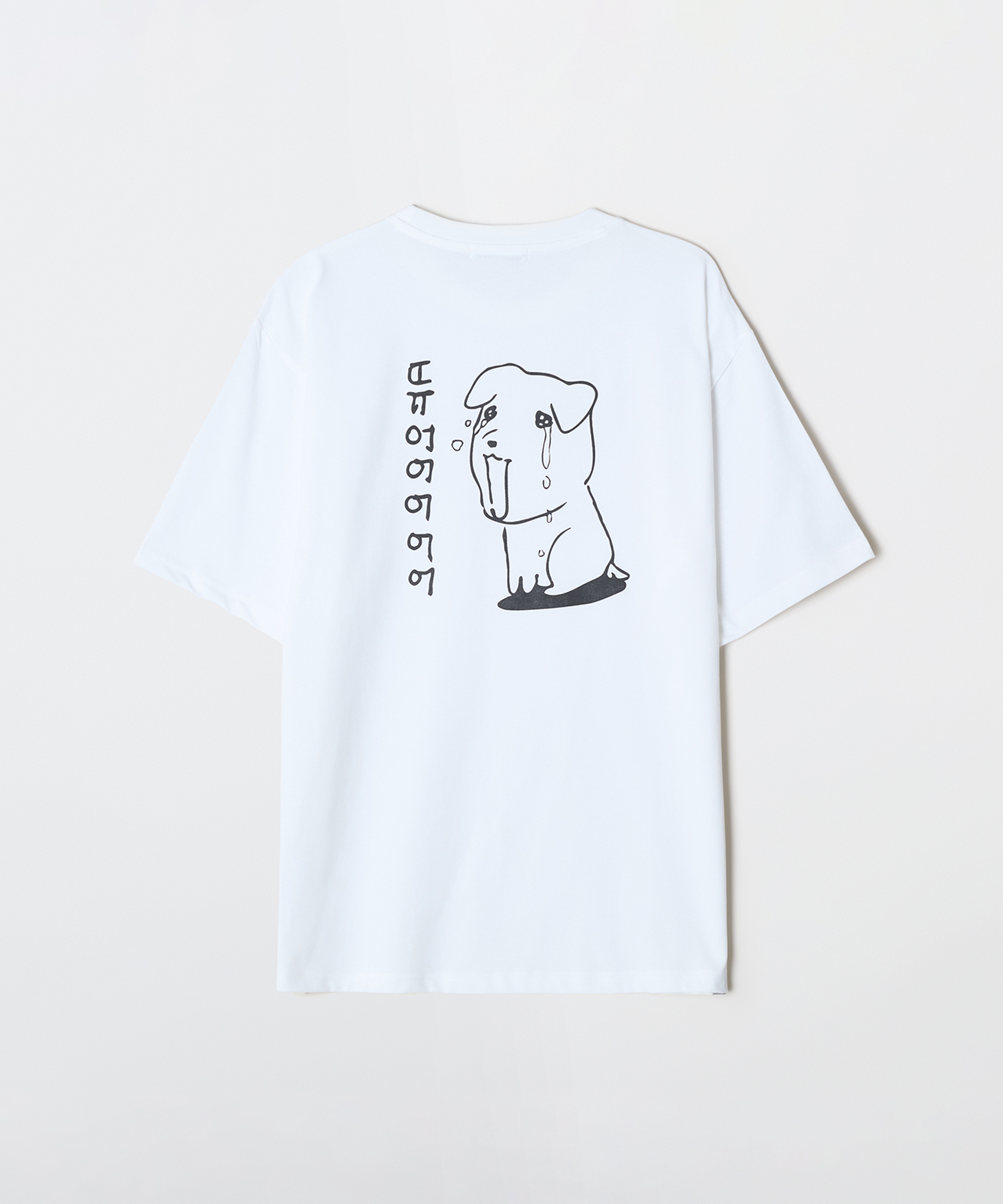 Футболка Ganadi (GRAPHIC WHITE)_SPRLG25U09