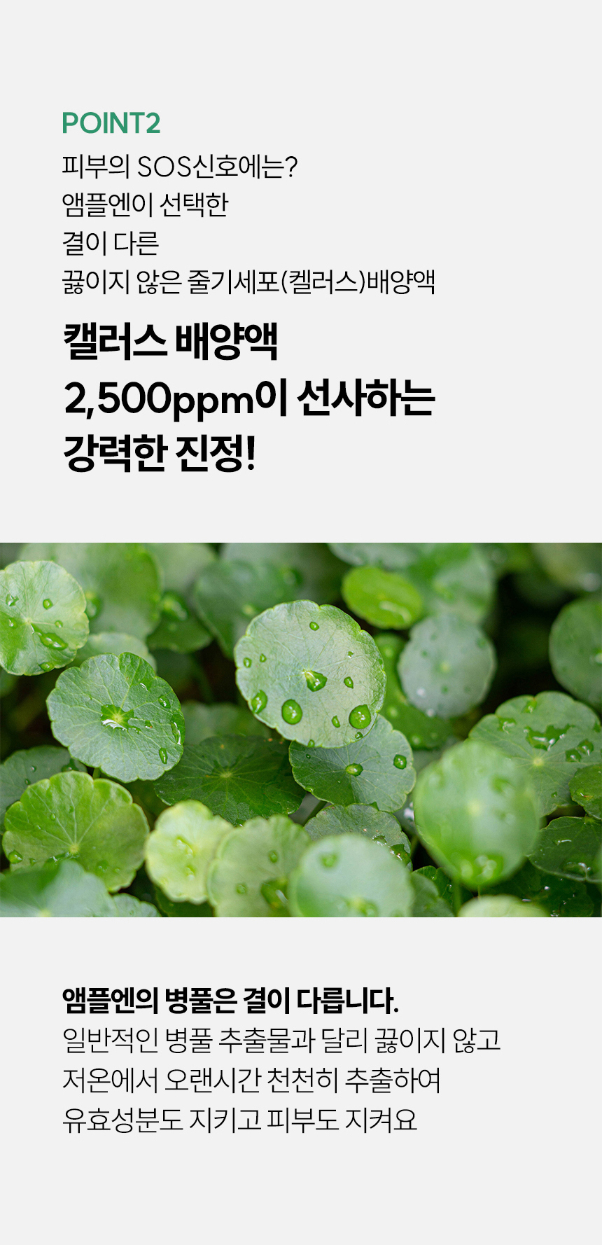 content-img-08