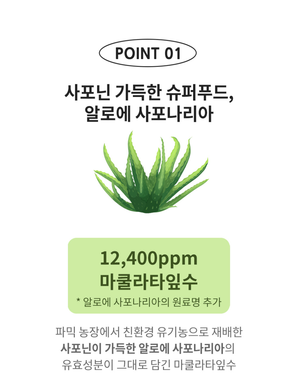 content-img-03