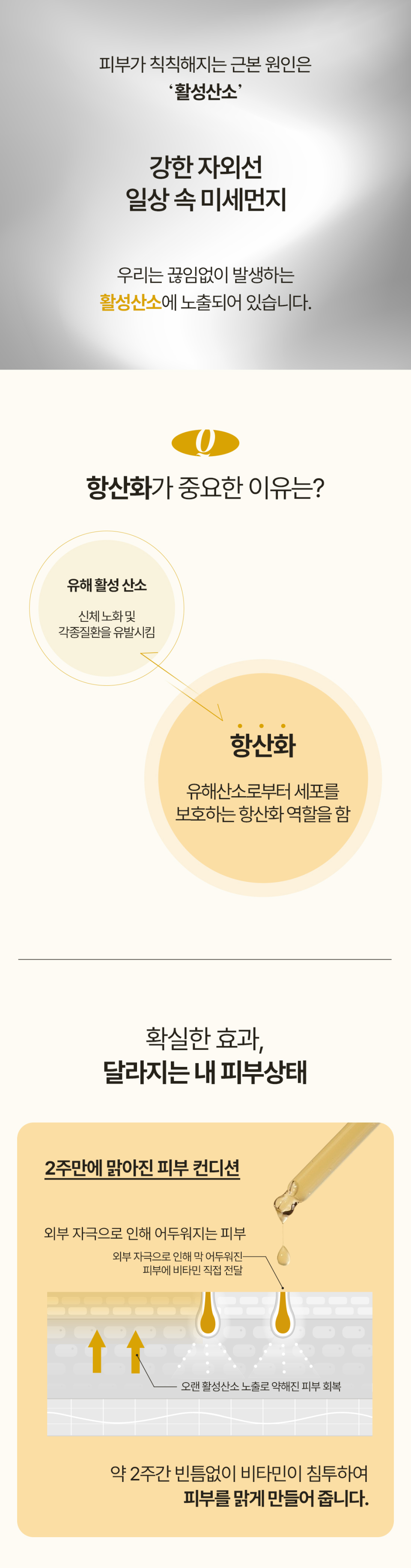 content-img-06